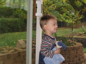 Quin looking for chipmunks.